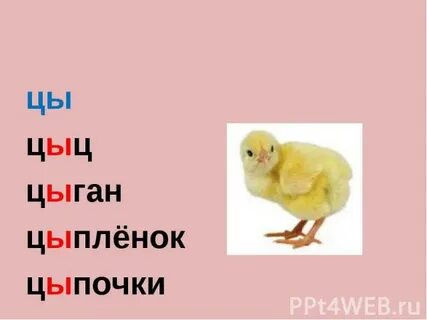 Песня эй малая ну ка цыц