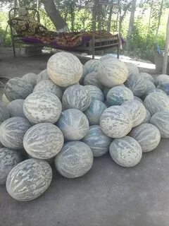 Ковун