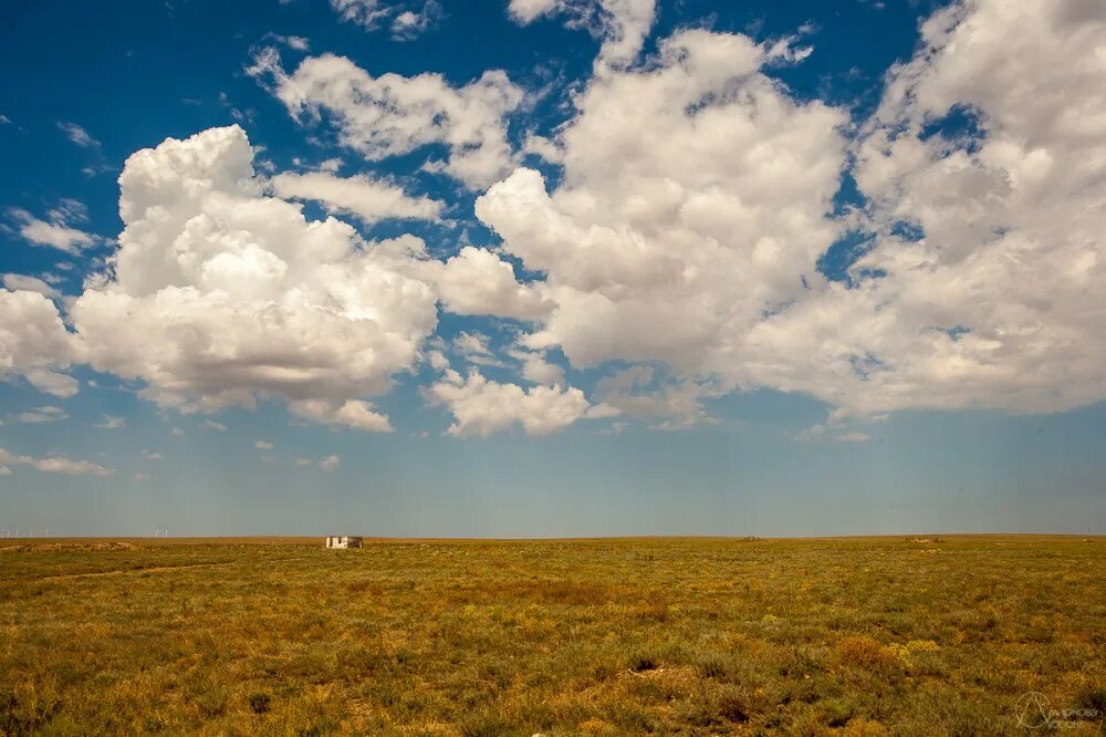 Степи неживая природа. Степная равнина Калмыкии. Муганская степь. Бескрайная Песчаная степь. Степные просторы Казахстана.