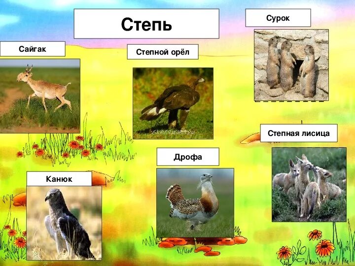 Какие животные в степях природная зона. Животные зоны степей. Степь природная зона. Животные зоны степей России. Степь природная зона животные.