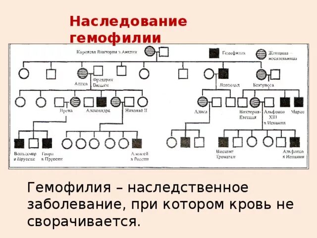 Гемофилия генетика Тип наследования. Схема наследования гемофилии. Наследования тяжелого заболевания - гемофилия родословная. Генетические схемы наследования гемофилии. Гемофилия доминантный признак