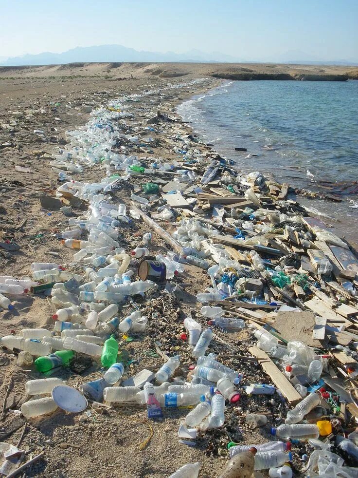 Чем опасны отходы в морях. Great pacific garbage patch. загрязнение мирового океана. пластиковые отходы в море.