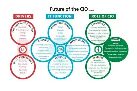 Marketing roles