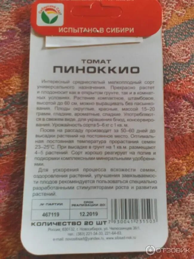 Помидоры пиноккио описание. Томат детерминантный Пиноккио,. Сорт Пиноккио томат. Сорт помидор Пиноккио. Помидоры черри сорт Пиноккио.