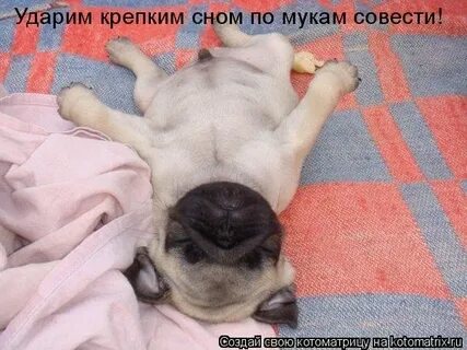 На нем можно спать