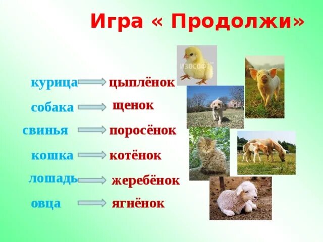 Кличка цыпленка 2 класс