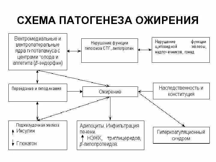 Патогенез первичного ожирения. Алиментарно-конституциональное ожирение патогенез. Патогенез алиментарного ожирения. Механизмы развития ожирения патофизиология.