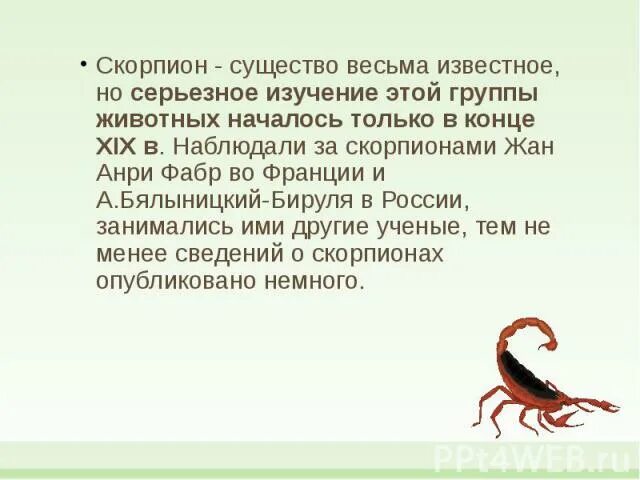 год змеи характеристика. змея и скорпион. год змеи скорпион характеристика. змеи обои.