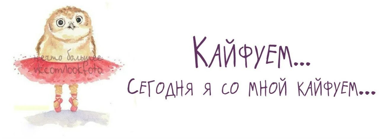 П я кайфую. Я кайфую картинки. я кайфую я кайфую. я сегодня кайфую. кайфуем сегодня.