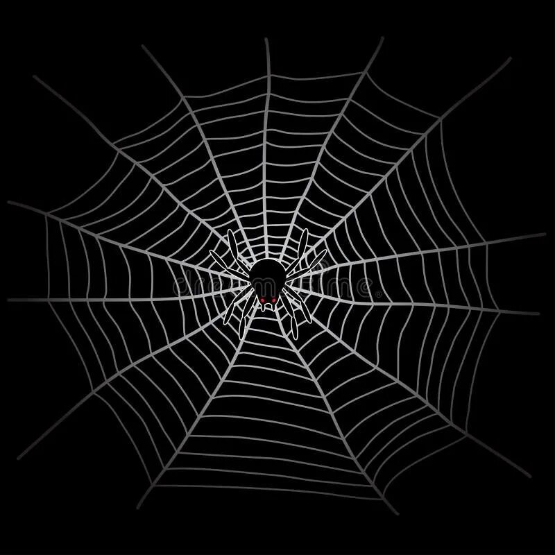 У какого паука черная паутина. Чёрная вдова паук паутина. Чёрная вдова паук паутина черная. Черная вдова паук и ее паутина. Паук ВДОВАЧËРНАЯ паутина.