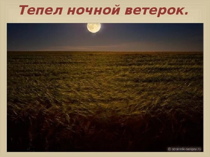 Стихотворение и а бунин месяц задумчивый полночь глубокая. Месяц задумчивый. Лунная ночь в степи. В стихотворении «июльская ночь» валерия брюсова. Ночное поле.