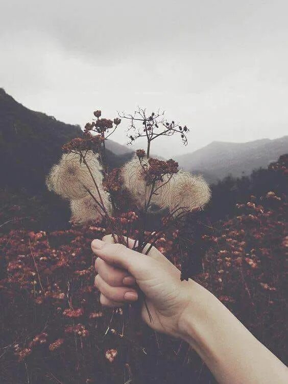 Pin by Tayla Stagg on Style Fashion, Style, Aesthetic clothes