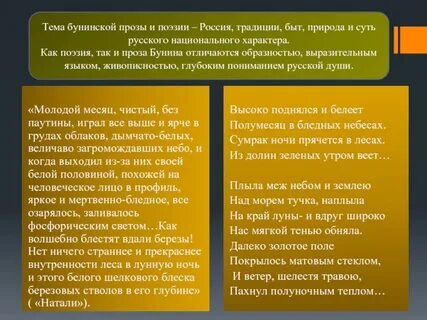 Бунин лирический герой