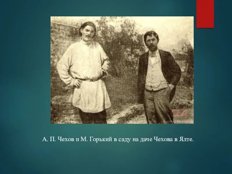 Чехов и толстой. Чехов толстой и Горький в Ялте. Максим Горький и Чехов. Андреев и Чехов. Горький и Чехов отношения.