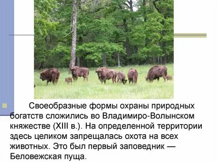 Природа находится под охраной