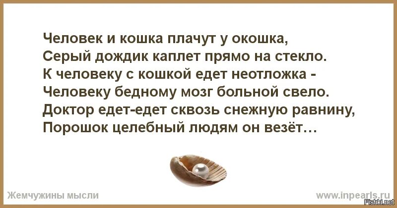 Песня человек и кошка. Человек и кошка текст. доктор едет едет сквозь снежную равнину. человек и кошка текст песни. человек и кошка плачут.