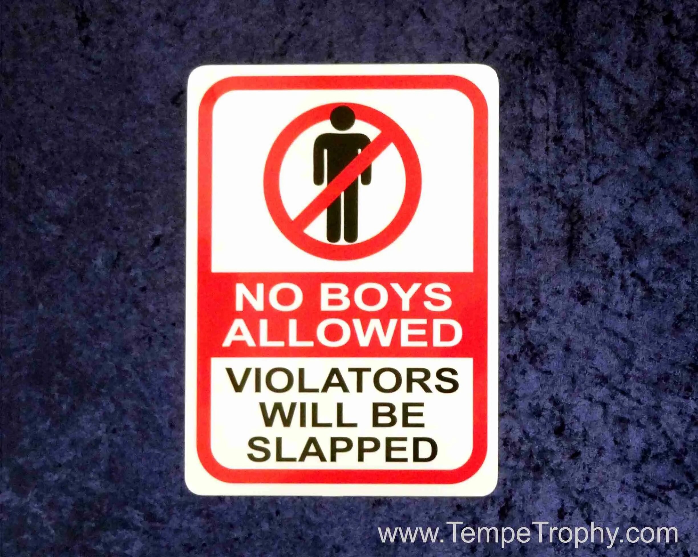 Property is not allowed. Знак no boys. No allowed. No White boys allowed. No Russians allowed таблички.