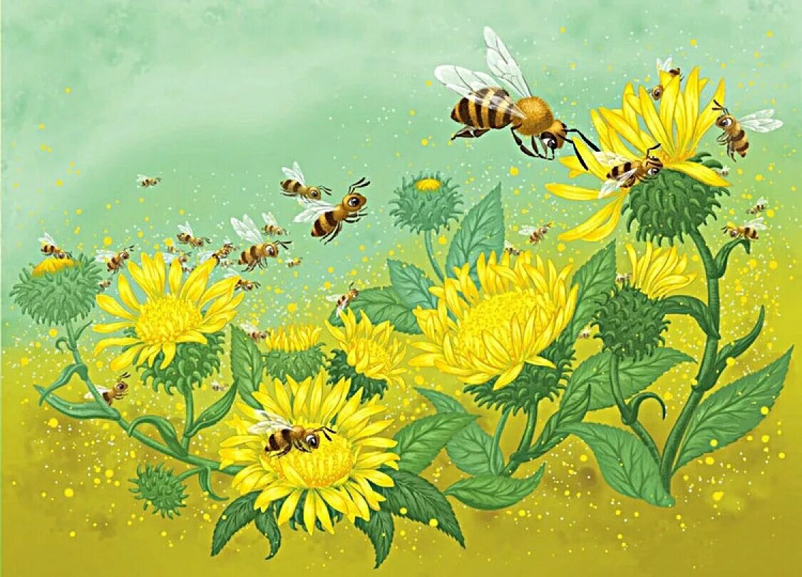 Полетели луга. Пчела на одуванчике живопись. Пчелка на одуванчике. Пчелки на цветах поле. Пчелка картина.