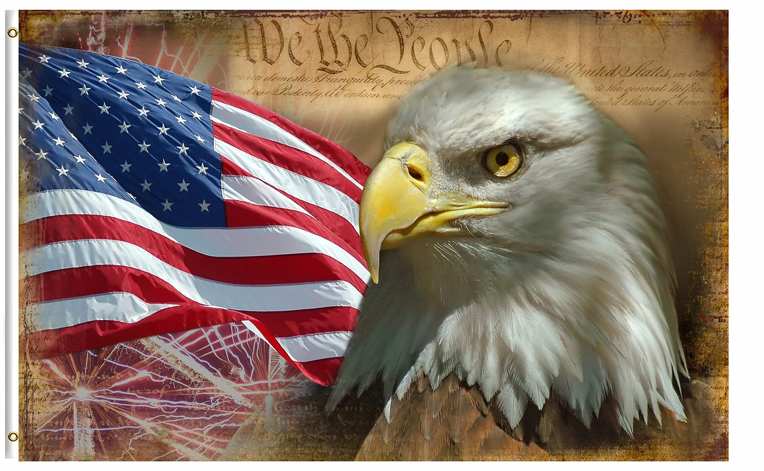 Белоголовый Орлан США. Белоголовый Орлан на флаге США. Символы США. Орел символ США. Звук орла америка
