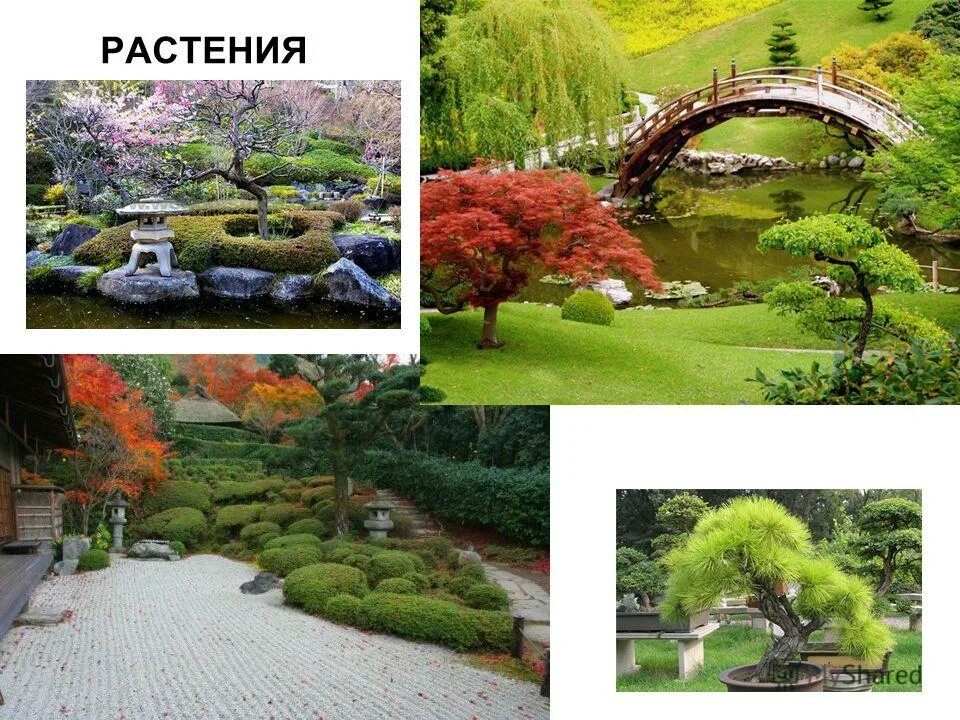 япония страна восходящего солнца. страна восходящего солнца японский сад конспект урока. китайский пейзаж. страна восходящего солнца японский сад конспект урока. «праздник цветения вишни».
