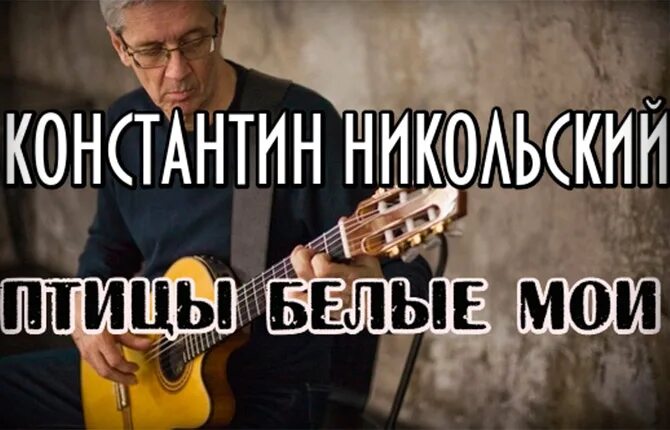 Птицы белые Мои Никольский аккорды на гитаре. Слушать никольского птицы белые