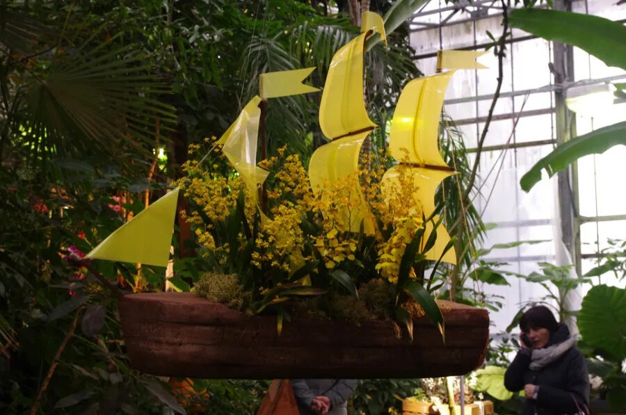 Дендрарий ботанический сад цицина москва. Выставки в ботаническом саду в санкт петербурге. Ботанический сад выставка тюльпанов в санкт-петербурге 2023. Магазин излишков растений ботанического сада спб. Ботанический сад петра великого в санкт-петербурге.