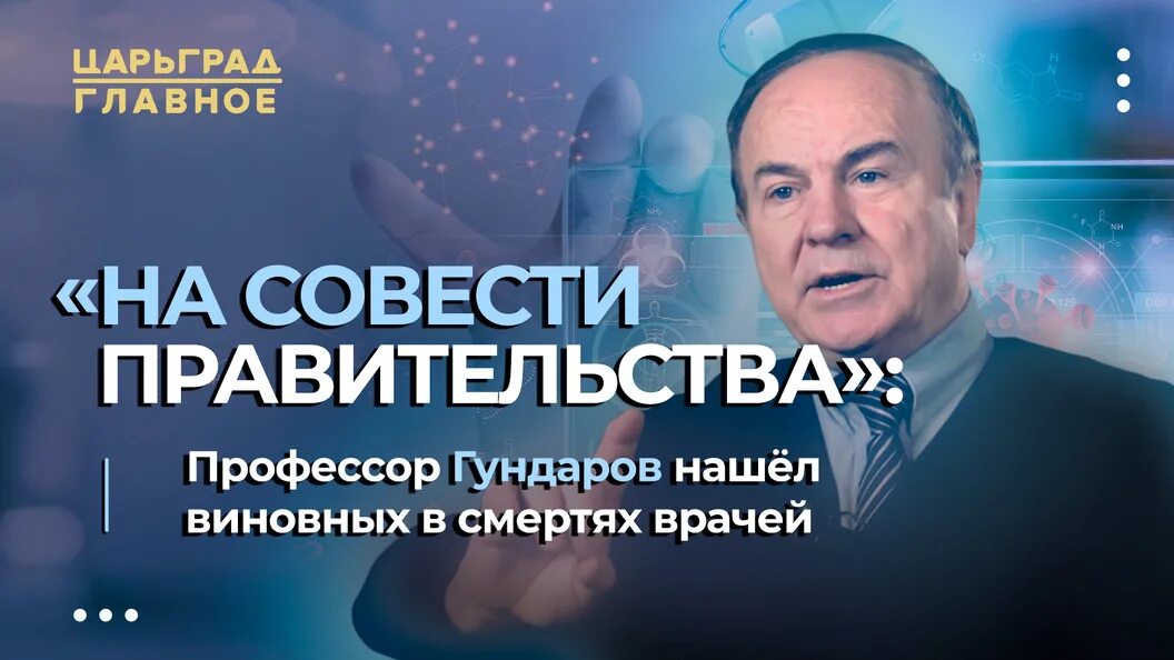 Правительство совесть. Гундаров профессор.