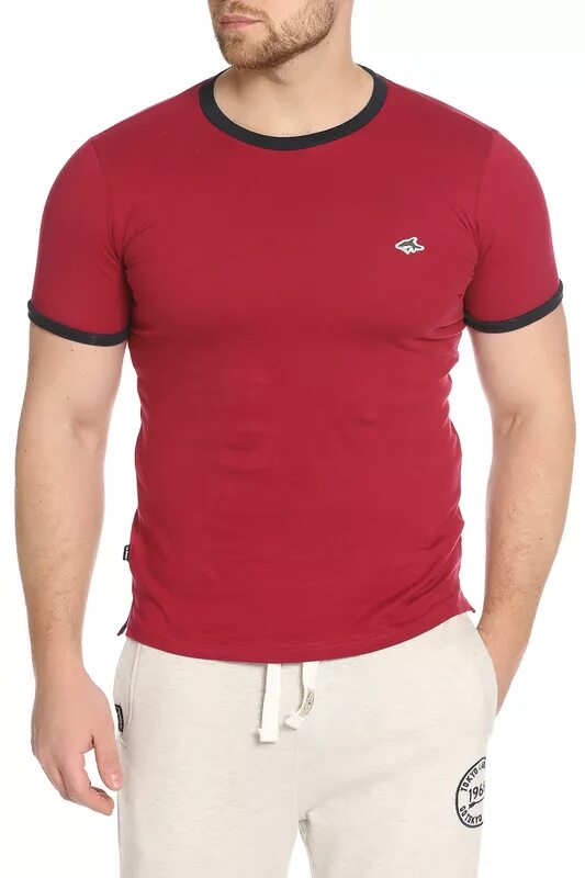 Le shark. Le shark бренд поло. Le shark зипка. Поло с акулами. Le shark бренд.