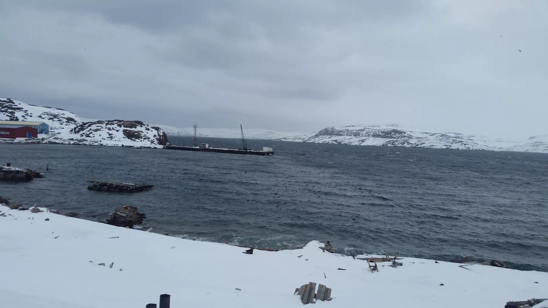 Порт баренцева моря