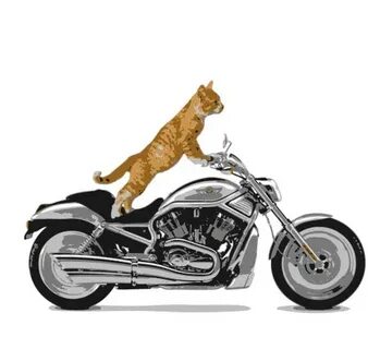Котомото