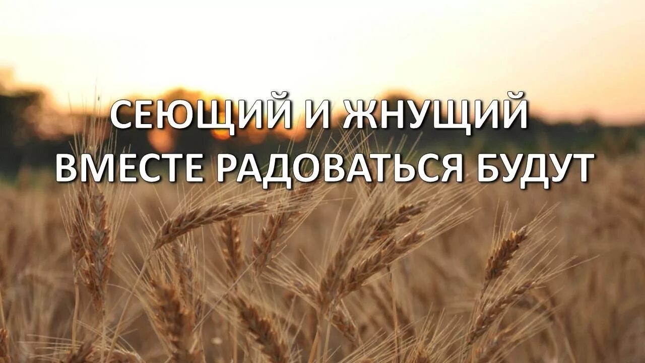 Что посеял то и получай. Что посеял то и получай