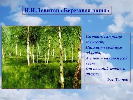 Вопросы березовая роща