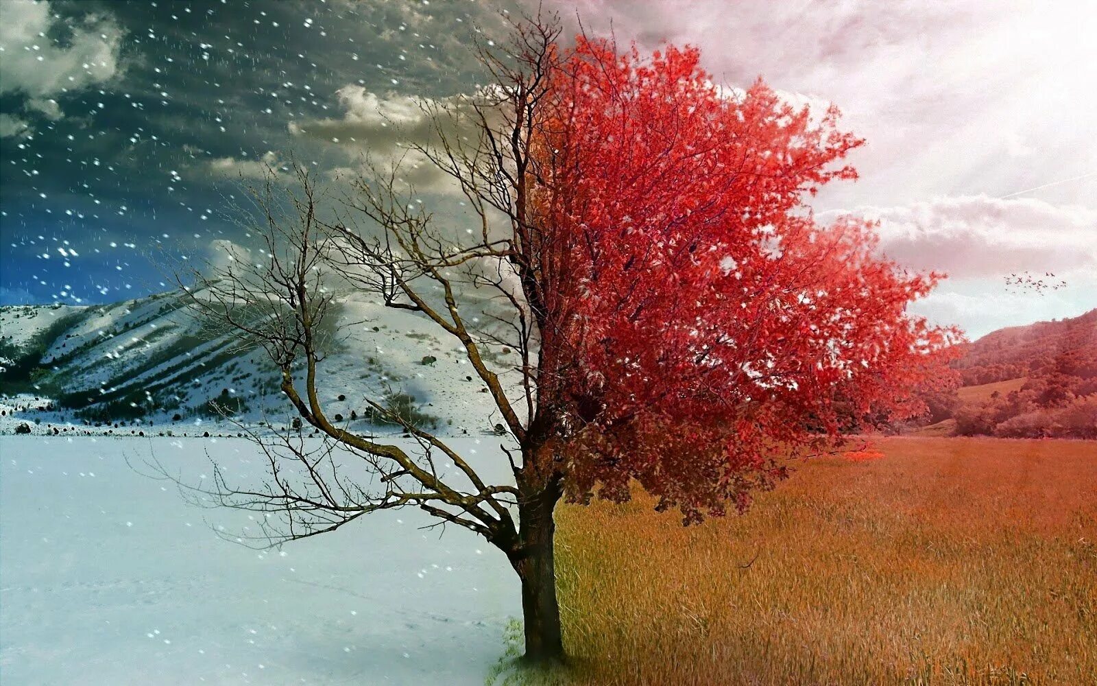 Зима лето новый