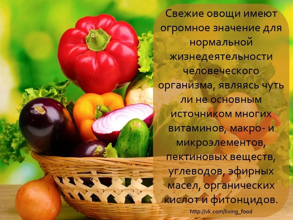 Про пользу. Стихи про овощи. Стихи про овощи и фрукты. Интересные овощи. Стихи о пользе овощей.