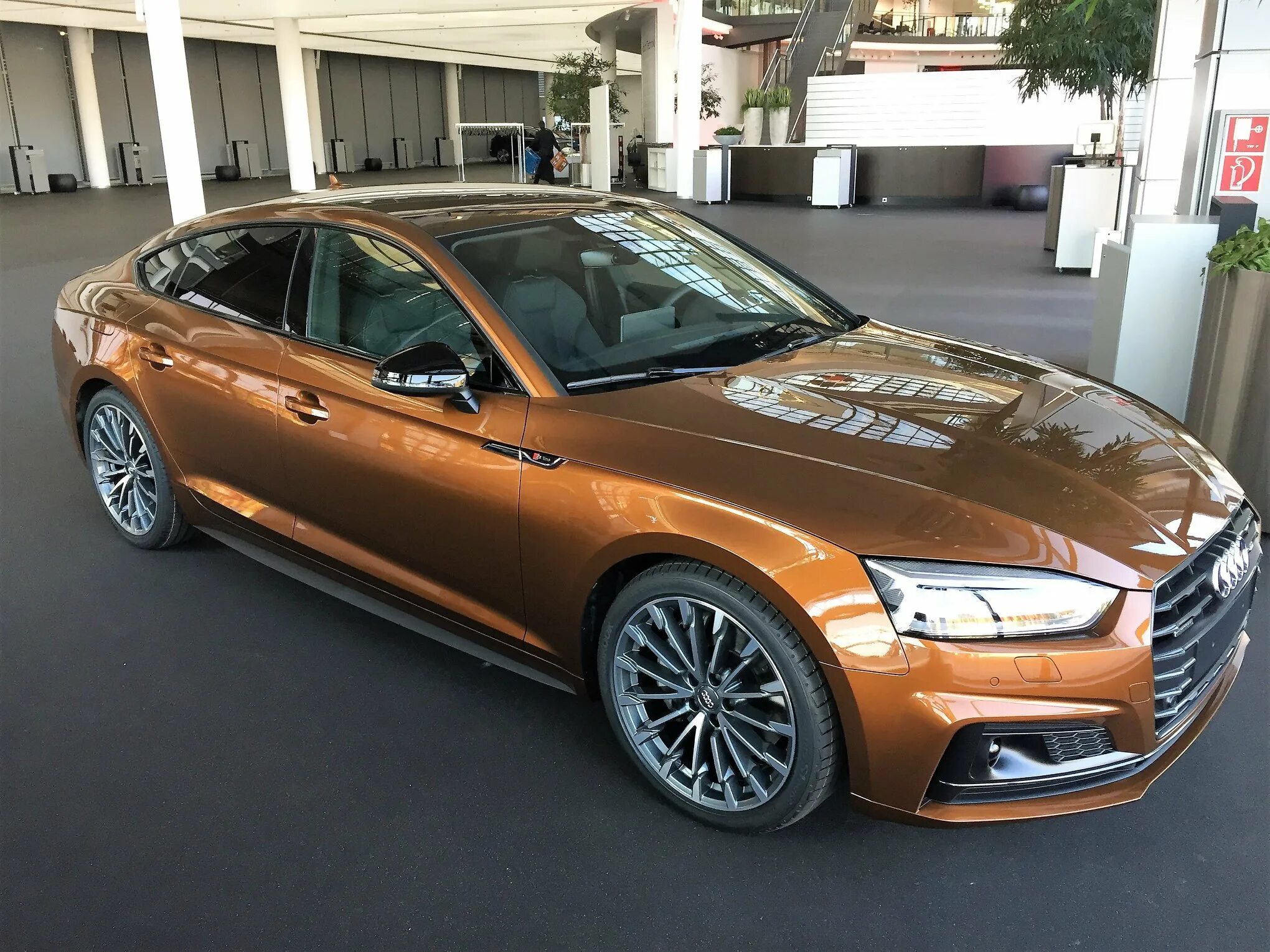 Brown car. Ipanema Brown Audi Exclusive. Audi a5 Ipanema Brown. Audi a8 Ipanema Brown. Audi s5 Ipanema Brown Metallic.