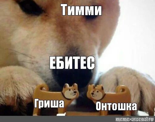 Мем деритесь с собакой The Two" 2022 Двач VK