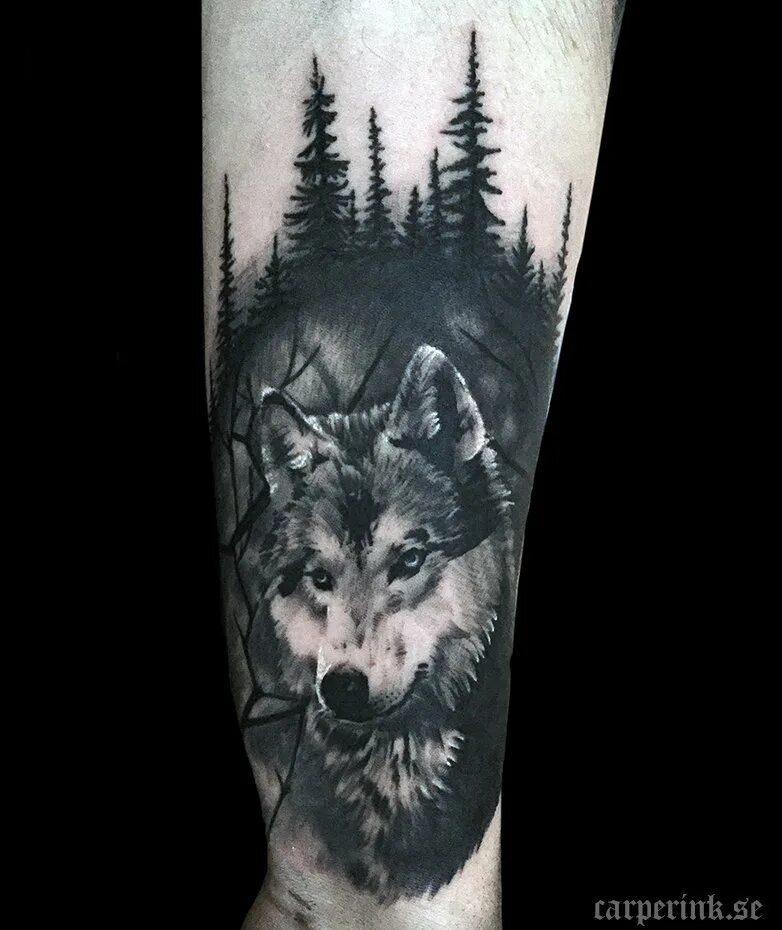 Тата волк в лесу. Тату волк на фоне леса. Тату волка на руке. Тату волк реализм. Тату волк на фоне леса.