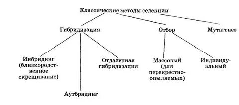 Таблица селекции 9 класс