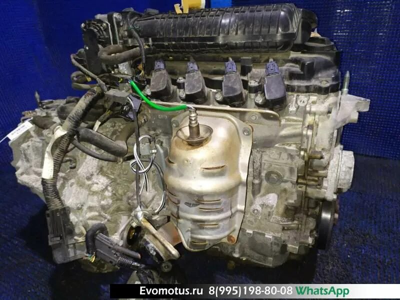 Honda l13a. Хонда фит l13a. Двигатель l13a Honda. Двигатель l13a Honda Fit. Двигатель l13a Honda Fit ge6.