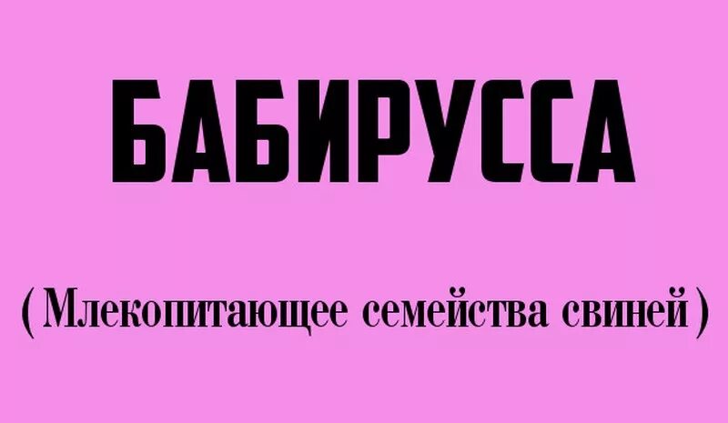 Сама странная текст. Странные слова. Необычные слова в русском. Странные слова в русском языке. Самые странные слова.