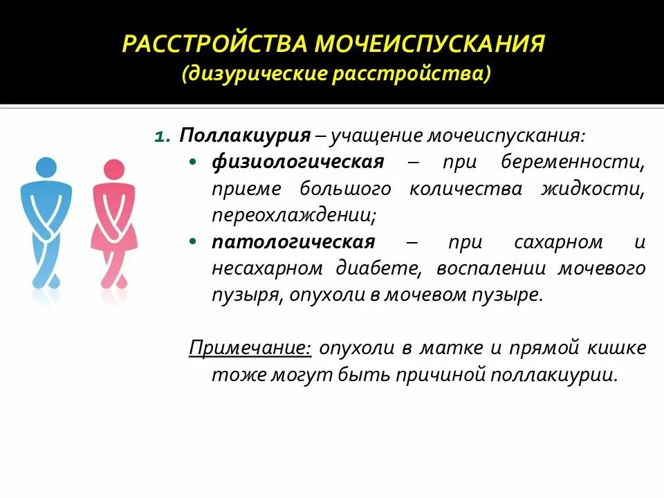 Расстройство мочеиспускания латынь. Расстройства мочеиспускания дизурические расстройства. Поллакиурия причины. Расстройства мочеиспускания презентация. Физиологическая поллакиурия.