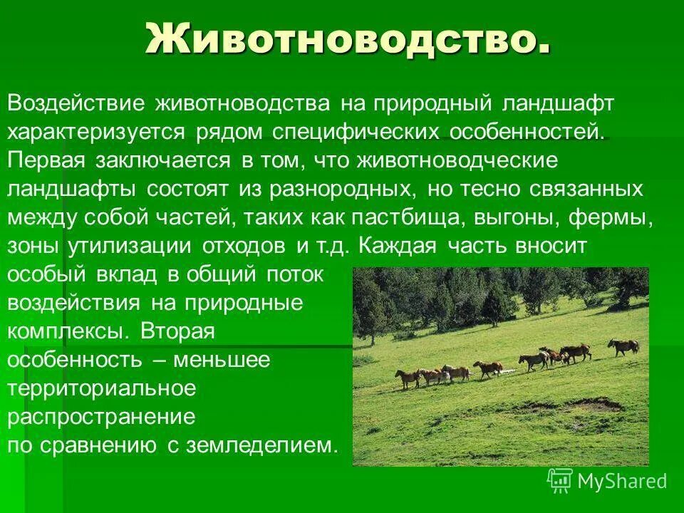 По природным и хозяйственным особенностям. Животноводство презентация. Проект на тему животноводство. Презентация по животноводству. Животноводство доклад.