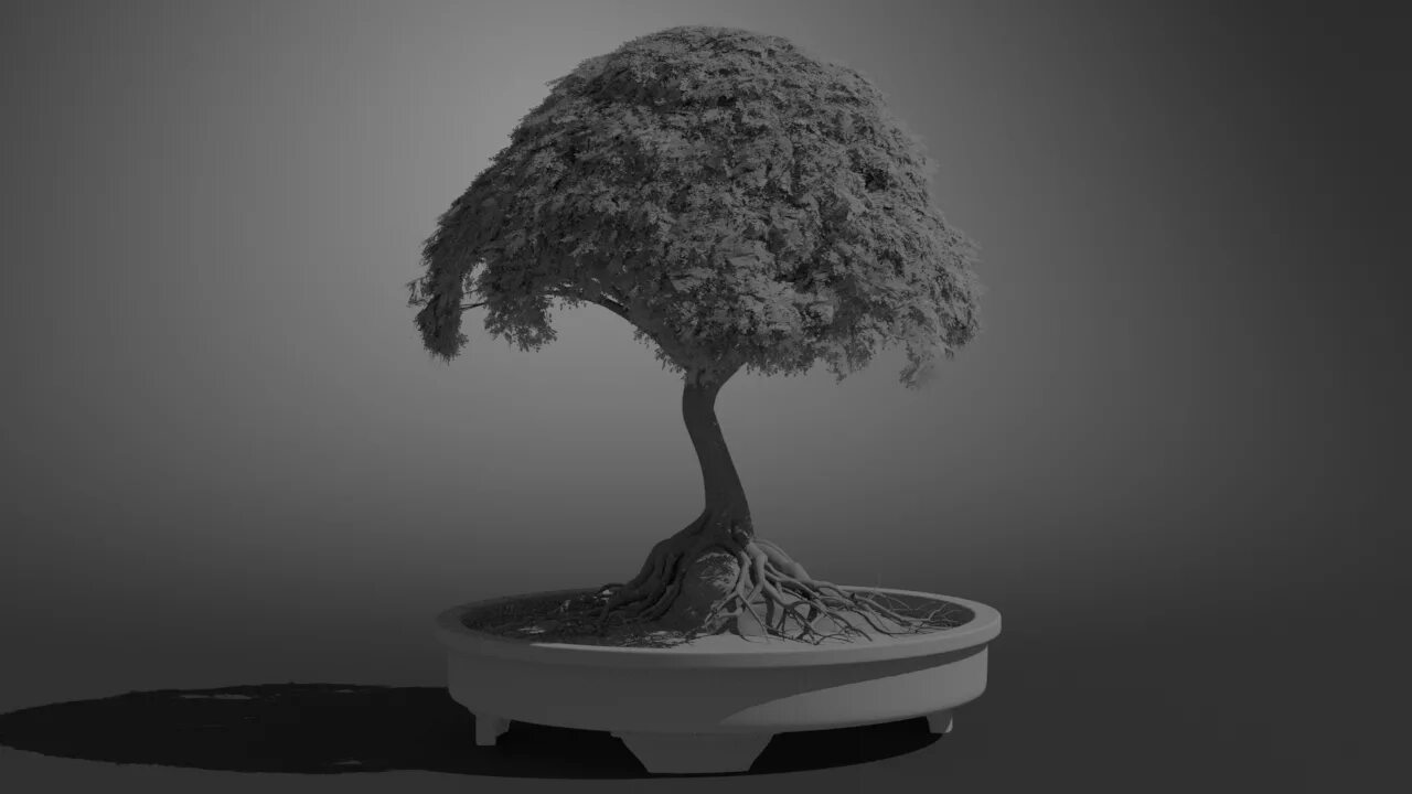 Make trees. Дерево 3д. Деревья в Maya. Материал дерева для Maya. Фотообои 3д бонсай.