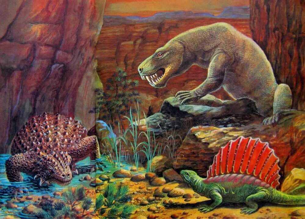 "палеонтология в картинках" 1997. Наука изучающая древних животных. Палеонтология это наука. Fossil окаменелости. Палеонтолог.