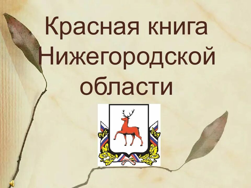 Красная книга россии нижегородская область. Проект красная книга Нижегородской области 4 класс окружающий мир. Красная книга Нижегородской области обложка. Животные исчезающие красной книги Нижегородской области. Проект окруж мир красная книга Нижегородской области.