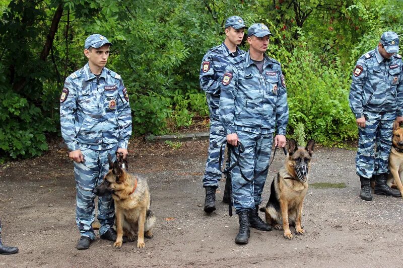 Кинологи Саратов. Кинологи МВД Саратов. Занятия с кинологом Измайлово. Кинолог Москва. Московских кинолог