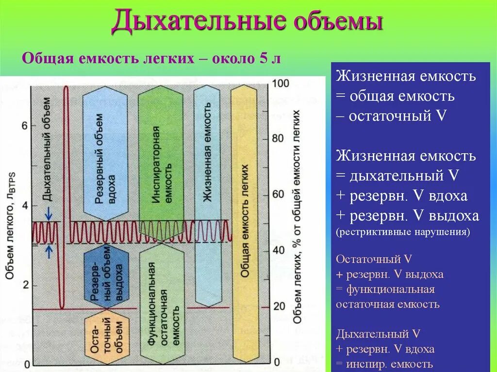 Дыхательные объемы легких таблица. Дыхательный объем легких. Дыхательные объемы и емкости легких. Дыхательные объемы физиология. Емкость вдоха это