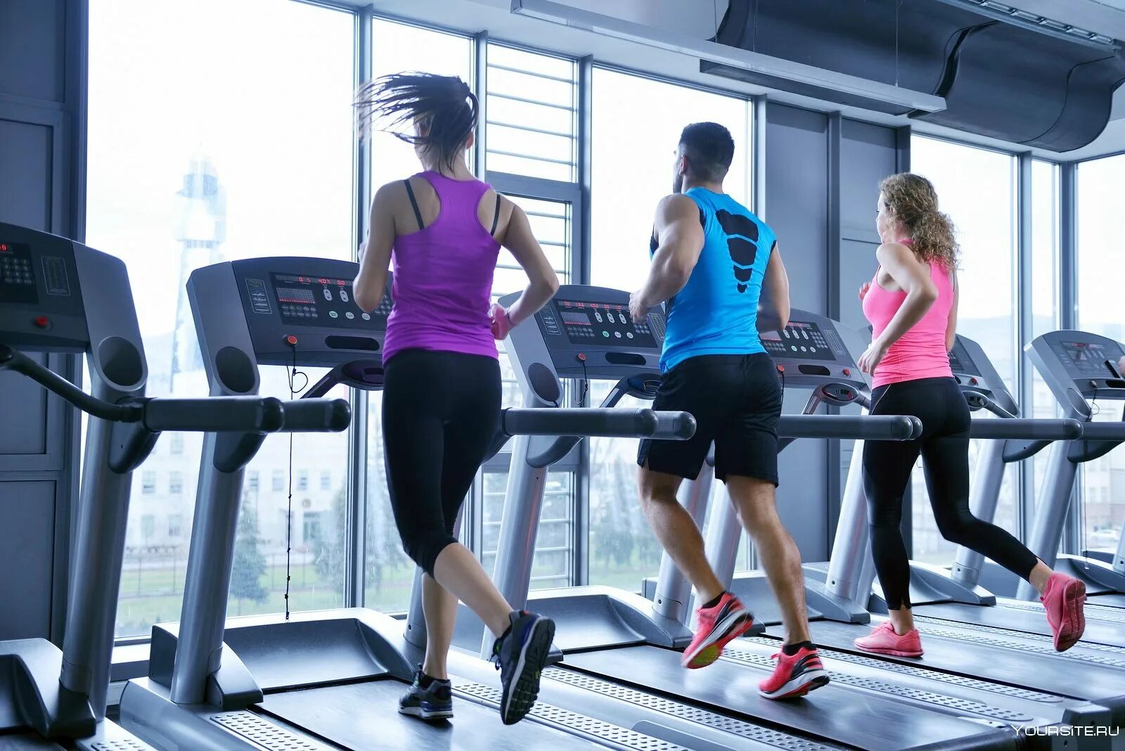 Dds fitness