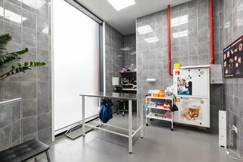 Ветклиника каширское шоссе