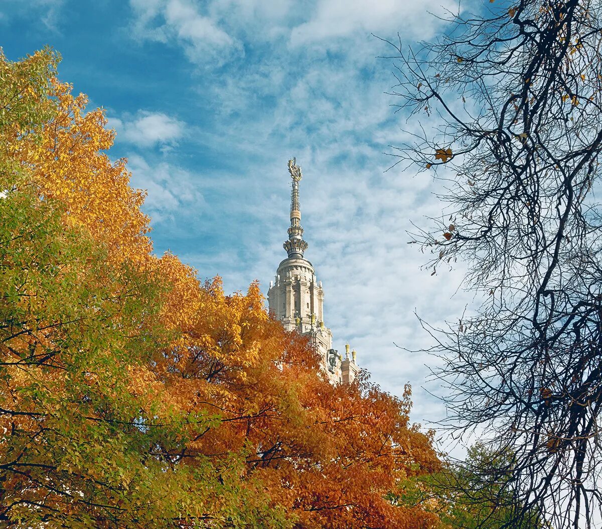 Октябрь. Осень в Москве МГУ. Золотая осень в Москве МГУ. Москва МГУ осенью. Октябрь МГУ.